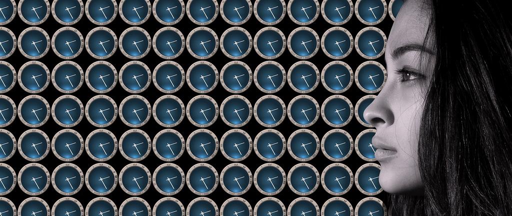 User inputs preferences icon